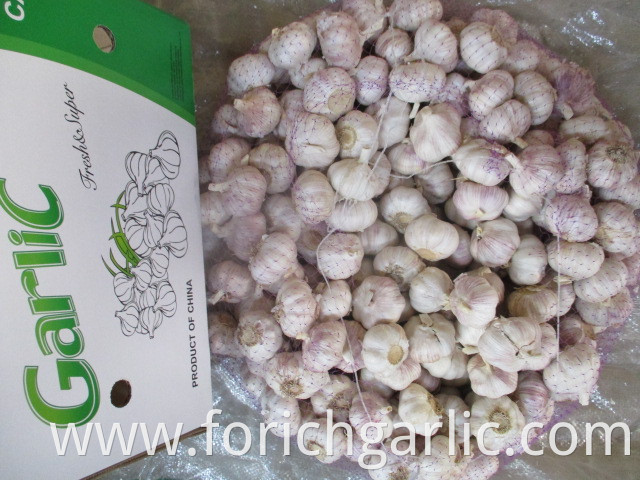 Fresh Normal White Garlic From Jinxiang